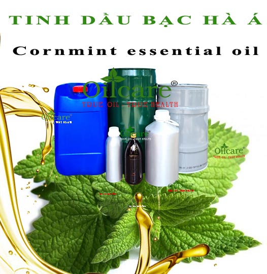 Tinh dầu bạc hà á cornmint bán lít kg buôn giá sỉ rẻ