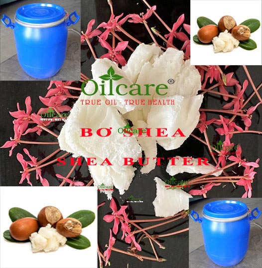 Bơ hạt mỡ shea butter bán sỉ kg buôn giá rẻ mua ở đâu