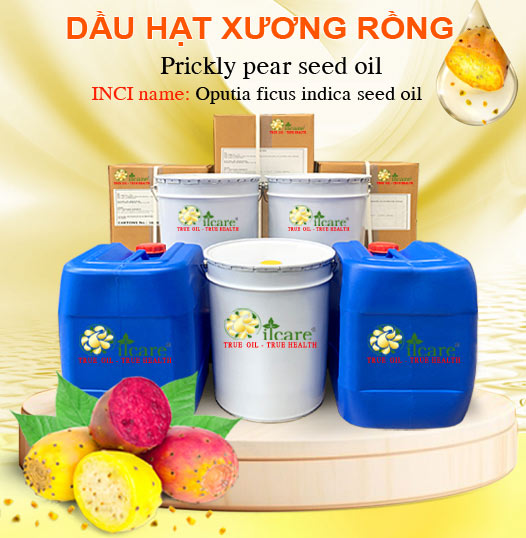 Dầu Hạt Xương Rồng Bán Lít, Kg Số Lượng Lớn - Giá Cả Cạnh Tranh