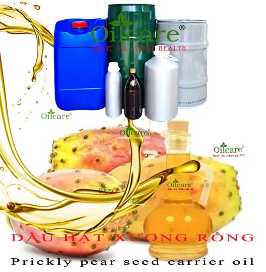 Dầu hạt xương rồng bán buôn prickly pear seed carrier oil kg lít giá rẻ mua ở đâu