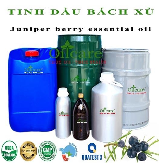 Tinh dầu bách xù đỗ tùng bán buôn Juniper berry essential oil lít kg giá rẻ mua ở đâu