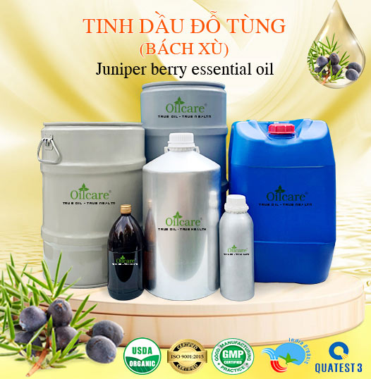 Tinh Dầu Bách Xù Đỗ Tùng Bán Lít, Kg Số Lượng Lớn - Giá Cả Cạnh Tranh