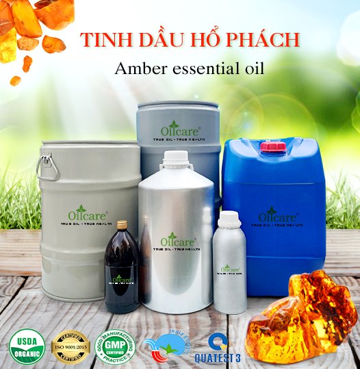 Tinh dầu hổ phách giá rẻ bán lít mua ở đâu